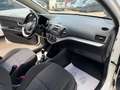 Kia Picanto Picanto 1,0 MPI Titan Titan Weiß - thumbnail 12