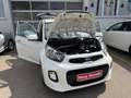 Kia Picanto Picanto 1,0 MPI Titan Titan Weiß - thumbnail 15