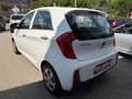 Kia Picanto Picanto 1,0 MPI Titan Titan Weiß - thumbnail 6