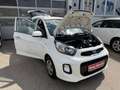 Kia Picanto Picanto 1,0 MPI Titan Titan Weiß - thumbnail 22