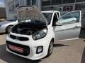 Kia Picanto Picanto 1,0 MPI Titan Titan Weiß - thumbnail 14