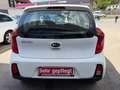 Kia Picanto Picanto 1,0 MPI Titan Titan Weiß - thumbnail 7