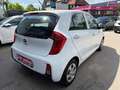 Kia Picanto Picanto 1,0 MPI Titan Titan Weiß - thumbnail 8