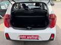 Kia Picanto Picanto 1,0 MPI Titan Titan Weiß - thumbnail 11