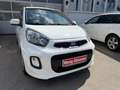 Kia Picanto Picanto 1,0 MPI Titan Titan Weiß - thumbnail 3