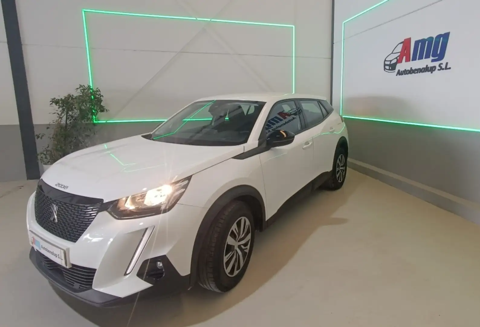 Peugeot 2008 1.5BlueHDi S&S Active 110 - 1