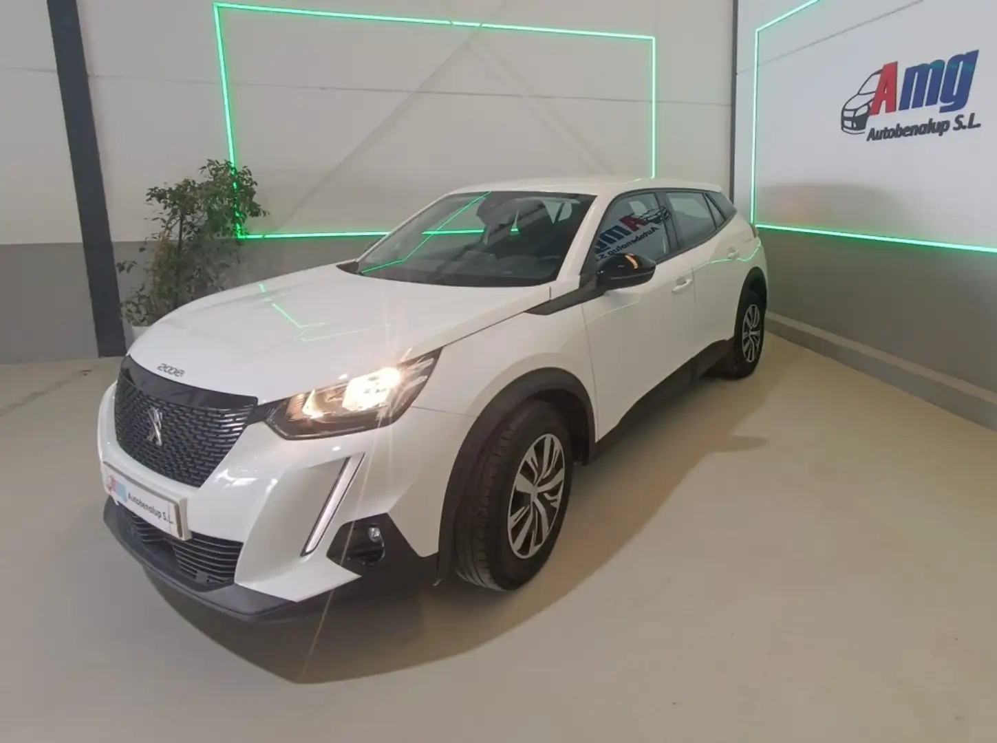 Peugeot 2008 1.5BlueHDi S&S Active 110 - 2