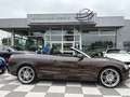 Audi A5 Cabriolet 3.0 TFSI quattro -Navi-Leder-Xenon Braun - thumbnail 11