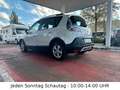 Renault Scenic III 1.2 TCe Paris Deluxe/NAVI/SHZ/LED/EU5 Blanco - thumbnail 6