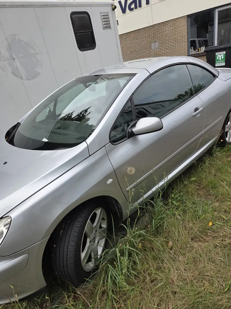 Peugeot 206 2.0-16V Blauw - 1