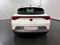 CUPRA Formentor 2.0 TDI 4Drive DSG *LED*ACC*NAVI* Weiß - thumbnail 6