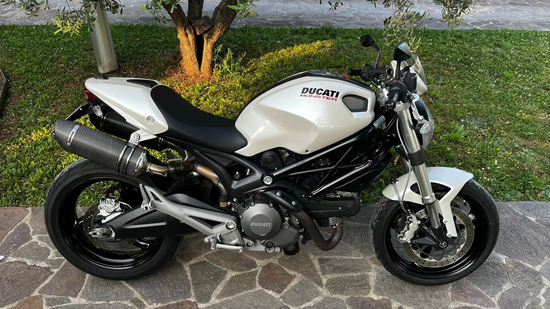 Ducati Monster 696 plus depotenzata a2 Bianco - 1