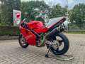 Ducati 888 Corsa Red - thumbnail 5
