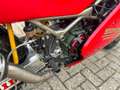 Ducati 888 Corsa Red - thumbnail 15