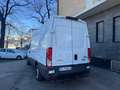 Iveco Daily 2022 frigo con ATP canbio automatico 6e Bianco - thumbnail 12