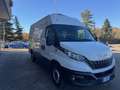 Iveco Daily 2022 frigo con ATP canbio automatico 6e Bianco - thumbnail 7