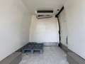 Iveco Daily 2022 frigo con ATP canbio automatico 6e Bianco - thumbnail 16