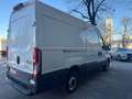 Iveco Daily 2022 frigo con ATP canbio automatico 6e Bianco - thumbnail 10