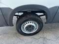 Iveco Daily 2022 frigo con ATP canbio automatico 6e Bianco - thumbnail 9