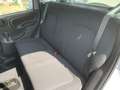 Fiat New Panda 1.0 FireFly Hybrid Grigio - thumbnail 6