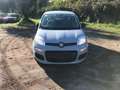 Fiat New Panda 1.0 FireFly Hybrid Grigio - thumbnail 2