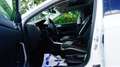 Volkswagen Polo Highline/BT/2xPDC/NAVI/KLIMA/ Weiß - thumbnail 5
