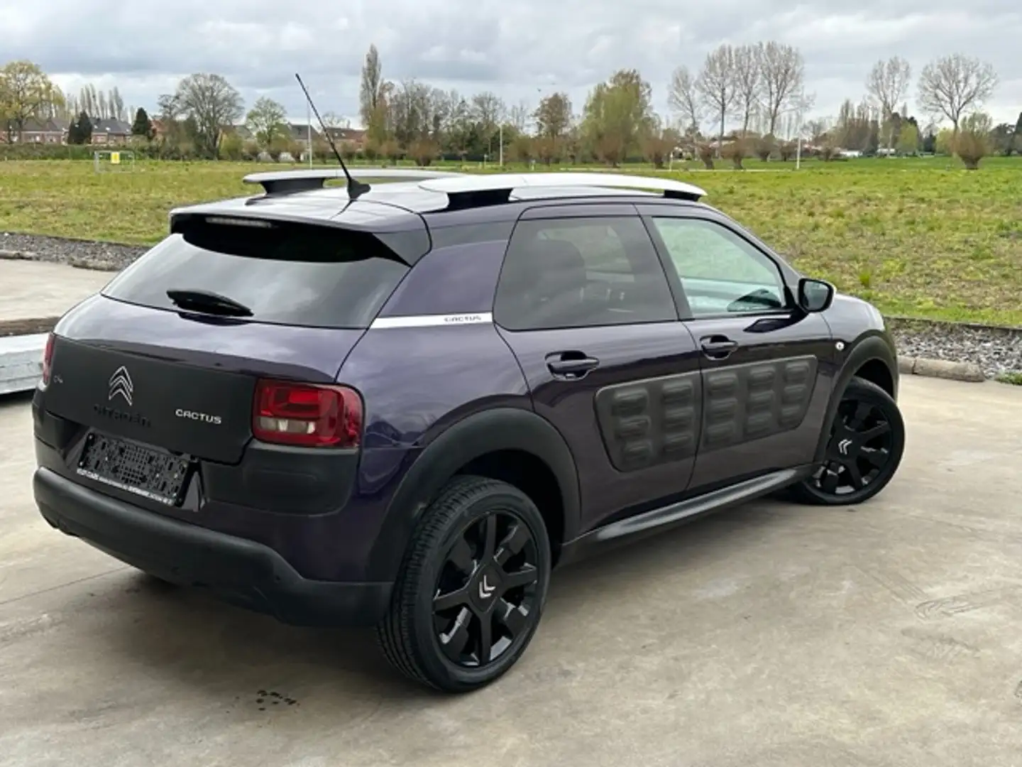 Citroen C4 Cactus C4 Cactus 1.2 PureTech Shine Rip Curl Edition Burdeos - 2
