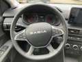 Dacia Sandero Stepway Extreme+ TCe 100 ECO-G Grijs - thumbnail 8