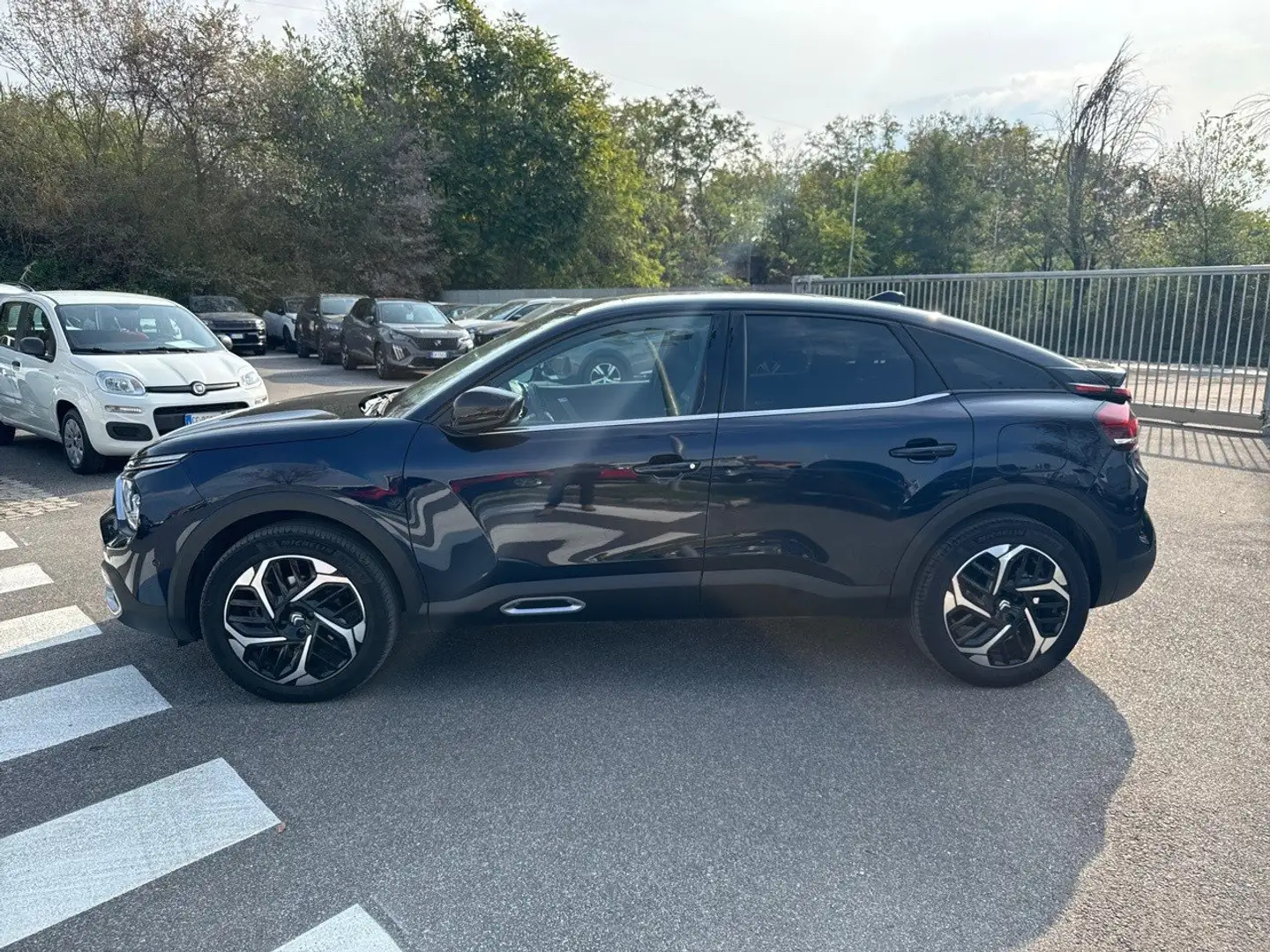 Citroen C4 BlueHDi 130 S&S Max EAT8 Blu/Azzurro - 2