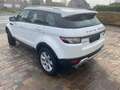 Land Rover Range Rover Evoque Wit - thumbnail 3