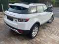 Land Rover Range Rover Evoque Wit - thumbnail 5