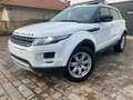 Land Rover Range Rover Evoque Wit - thumbnail 1