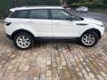 Land Rover Range Rover Evoque Wit - thumbnail 6