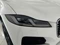Jaguar F-Pace 2021 2.0d i4 mhev SE awd 204cv auto Blanc - thumbnail 19
