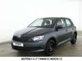Skoda Fabia 1,0 TSI Cool Plus SHZ, Klima,PDC, WR Grau - thumbnail 2