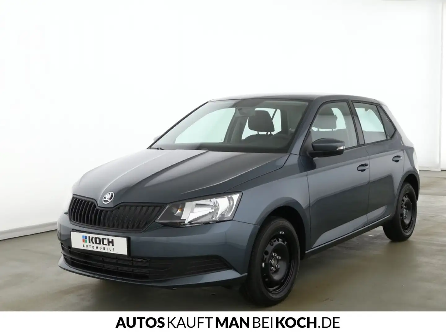 Skoda Fabia 1,0 TSI Cool Plus SHZ, Klima,PDC, WR Grau - 2