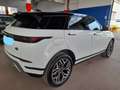 Land Rover Range Rover Evoque 2.0d i4 mhev HSE awd 150cv auto Blanco - thumbnail 6