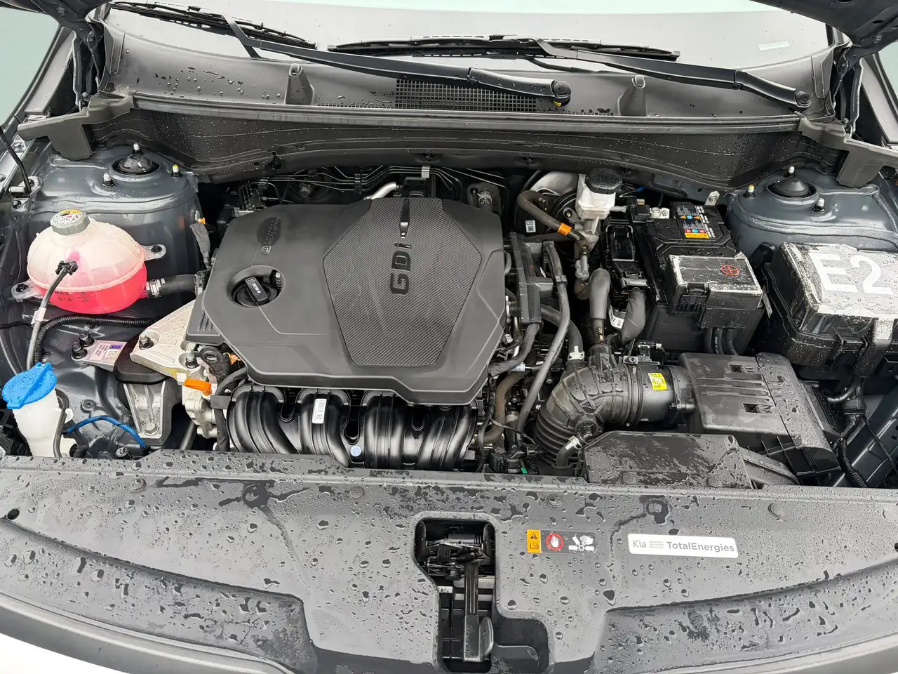 Kia Sportage photo Kia Sportage