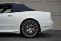 Maserati GranSport 4.2 Spyder Victory Blanc - thumbnail 15