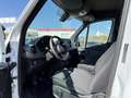 Mercedes-Benz Sprinter Furgón 316CDI Largo T.E. tT Wit - thumbnail 10