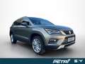 SEAT Ateca XCELLENCE Grün - thumbnail 7