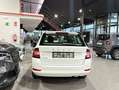 Skoda Fabia 1.0 TSI Ambition DSG 81kW Blanco - thumbnail 4