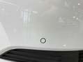 Skoda Fabia 1.0 TSI Ambition DSG 81kW Blanco - thumbnail 7