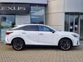 Lexus RX 350 h E-Four Sport Design Panoramadach Grau - thumbnail 4