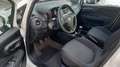 Fiat Punto 5p 1.2 Street Wit - thumbnail 9