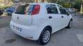 Fiat Punto 5p 1.2 Street Wit - thumbnail 5