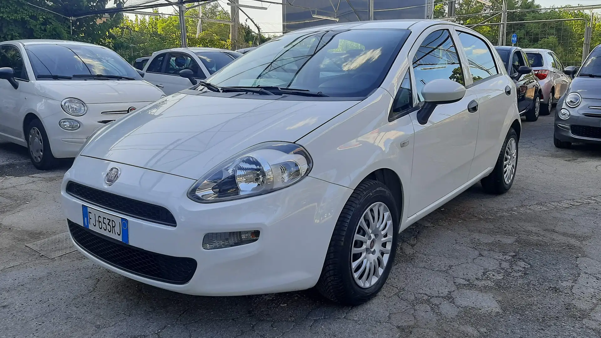 Fiat Punto 5p 1.2 Street Wit - 1