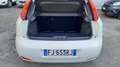 Fiat Punto 5p 1.2 Street Wit - thumbnail 12
