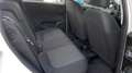Fiat Punto 5p 1.2 Street Wit - thumbnail 13