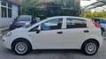 Fiat Punto 5p 1.2 Street Wit - thumbnail 2